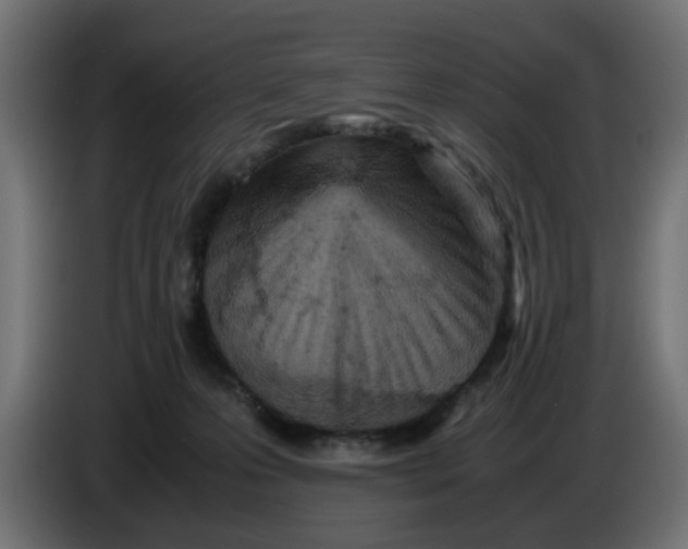 X0000086030223200704131919