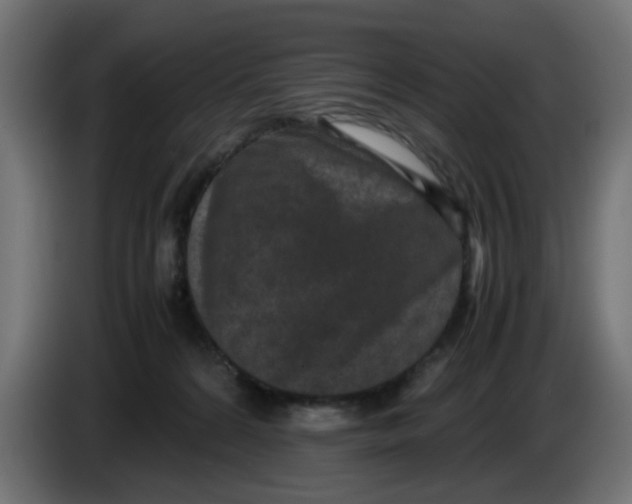 X0000086030224200704131919