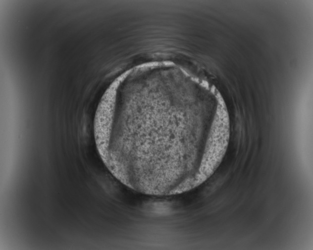 X0000086030228200704131919