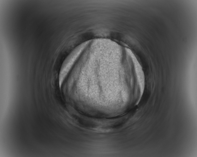 X0000086030229200704131919