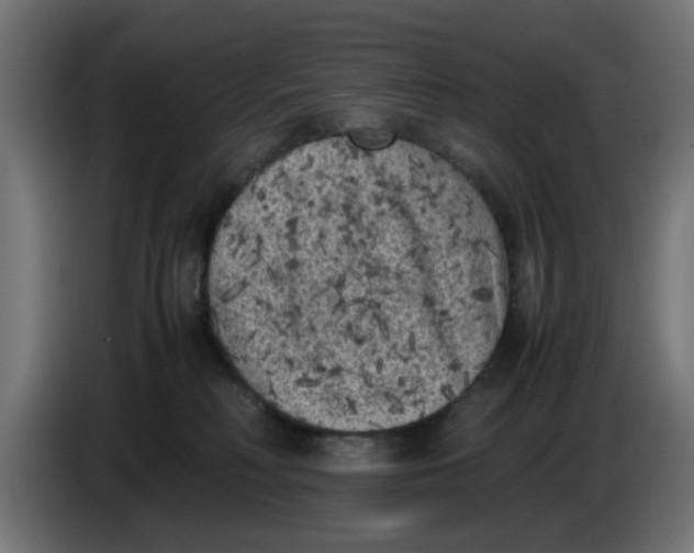 X0000086030230200704131919