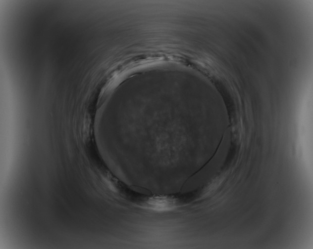 X0000086030231200704131919