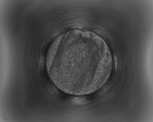 X0000086030232200704131919