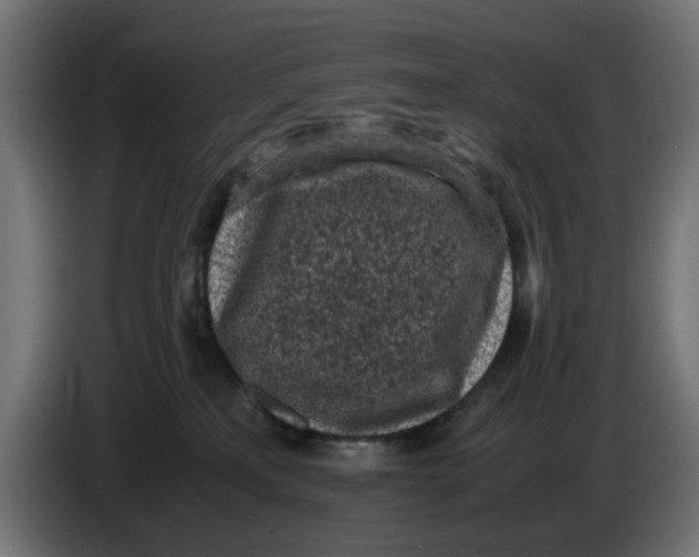 X0000086030233200704131919