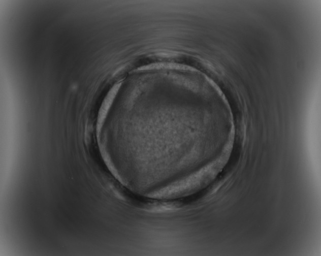 X0000086030235200704131919