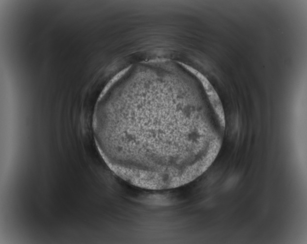 X0000086030236200704131919