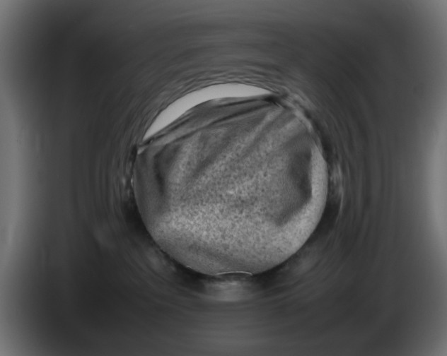 X0000086030237200704131919