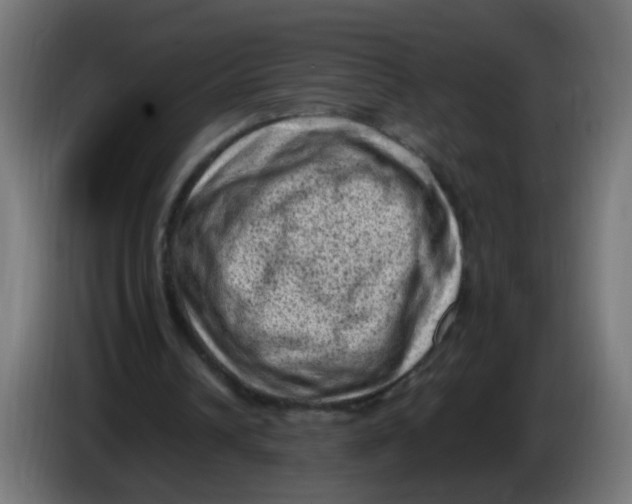 X0000086030242200704131918