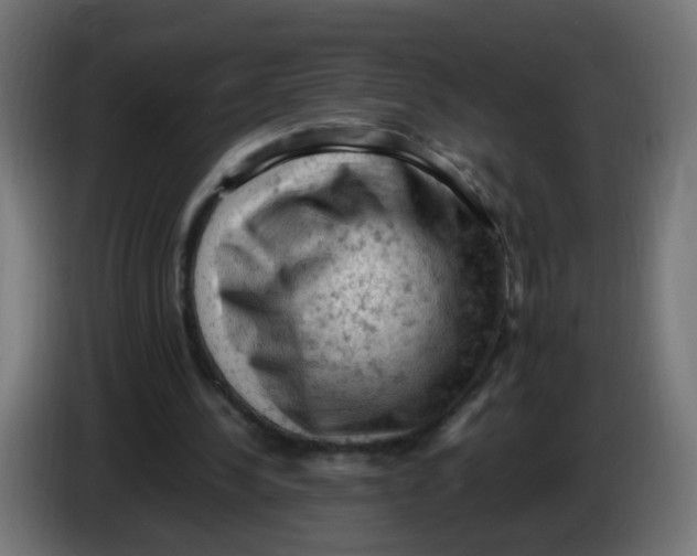 X0000086030244200704131919