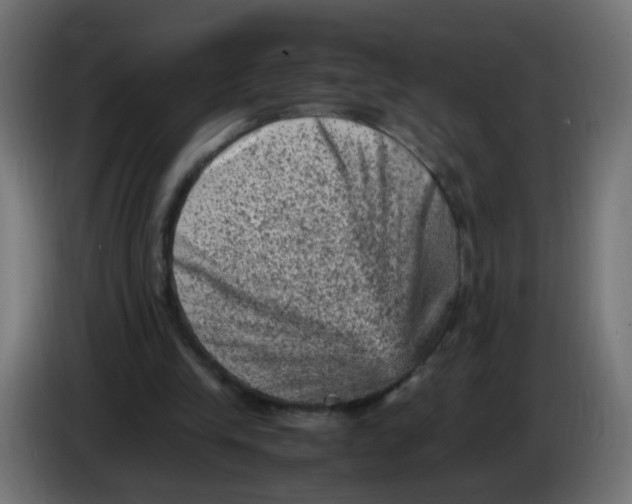 X0000086030245200704131919