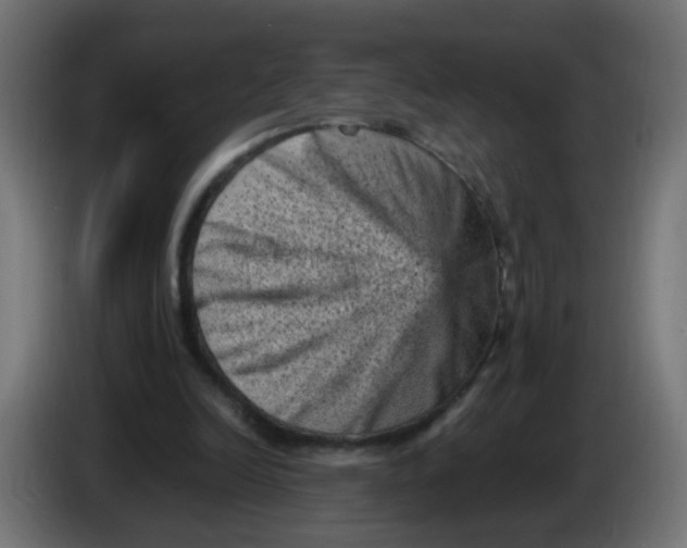 X0000086030246200704131919