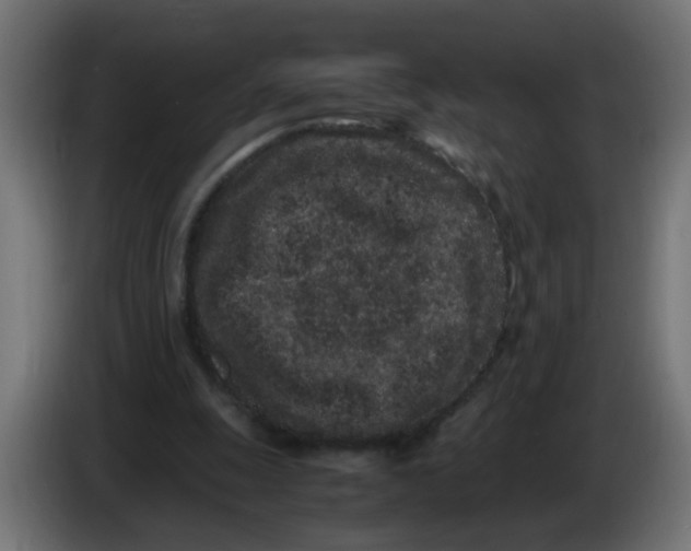 X0000086030247200704131919