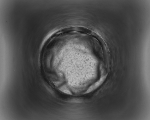 X0000086030248200704131919