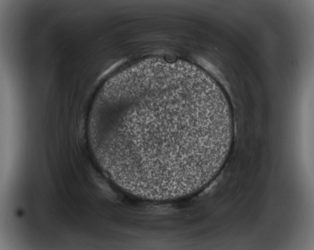 X0000086030249200704131919