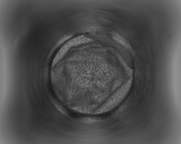 X0000086030250200704131919