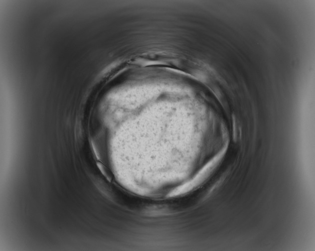 X0000086030252200704131919