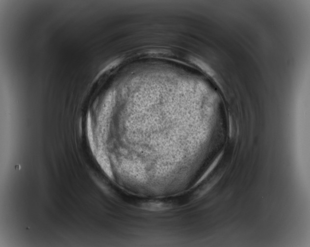 X0000086030253200704131919