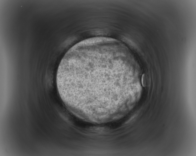 X0000086030255200704131919