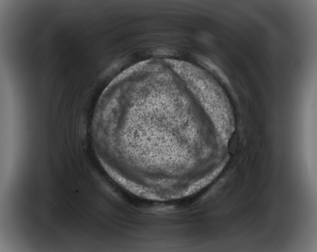 X0000086030257200704131919