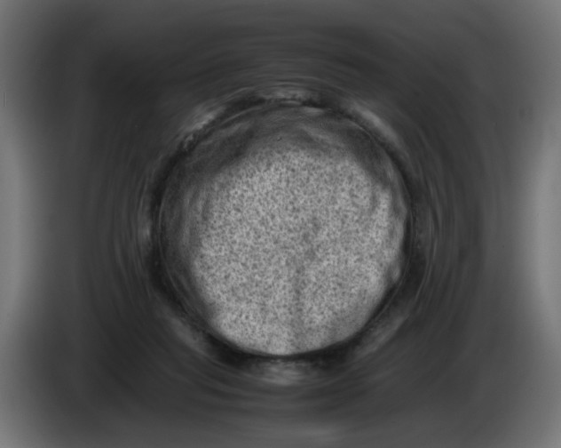 X0000086030261200704131919