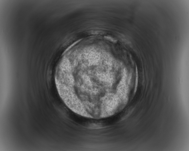 X0000086030263200704131919