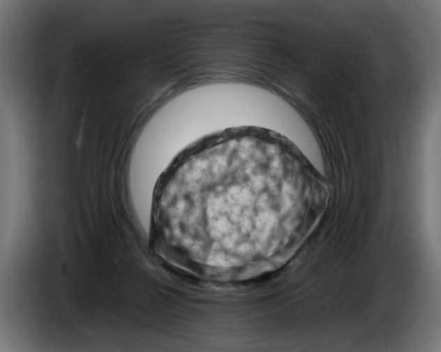 X0000086030264200704131919