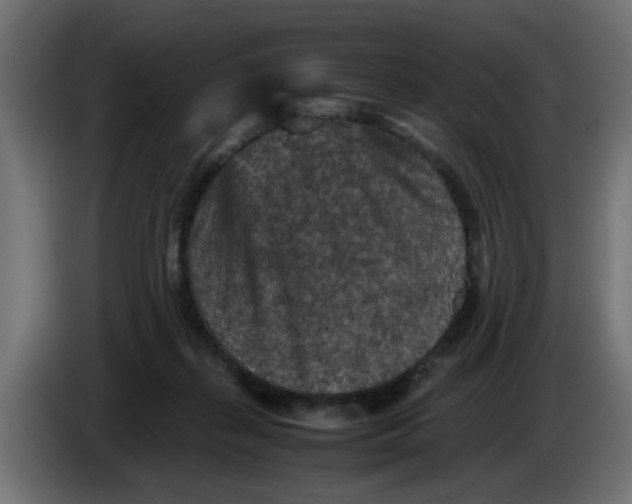 X0000086030267200704131919