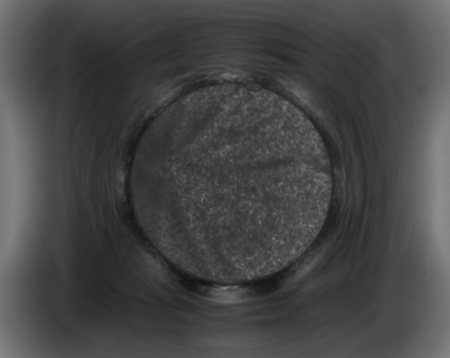 X0000086030269200704131919