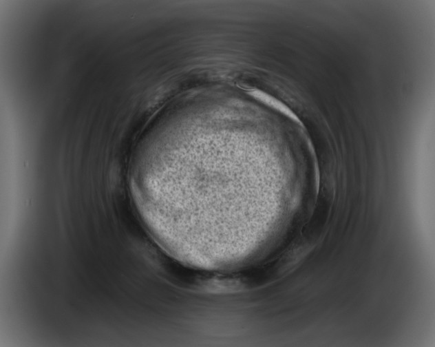 X0000086030270200704131919