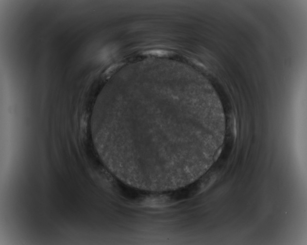 X0000086030271200704131919