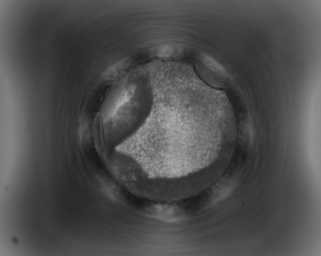 X0000086030272200704131919