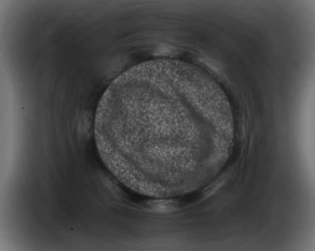 X0000086030273200704131919