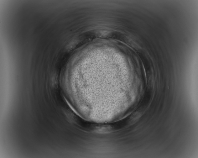 X0000086030274200704131919