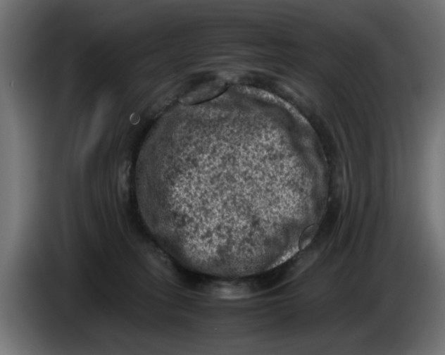 X0000086030275200704131919