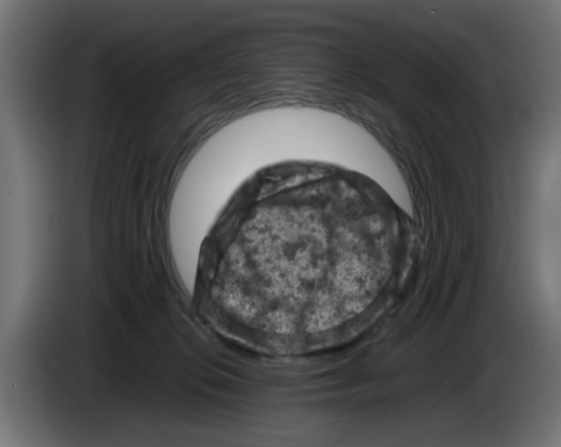 X0000086030276200704131919