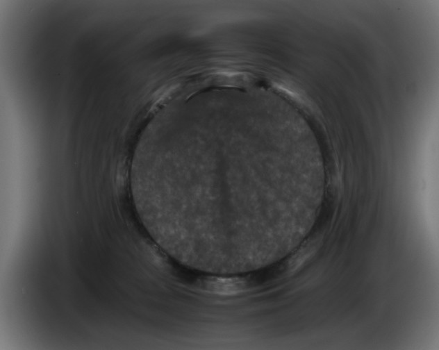 X0000086030277200704131919