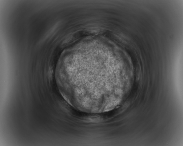 X0000086030279200704131919