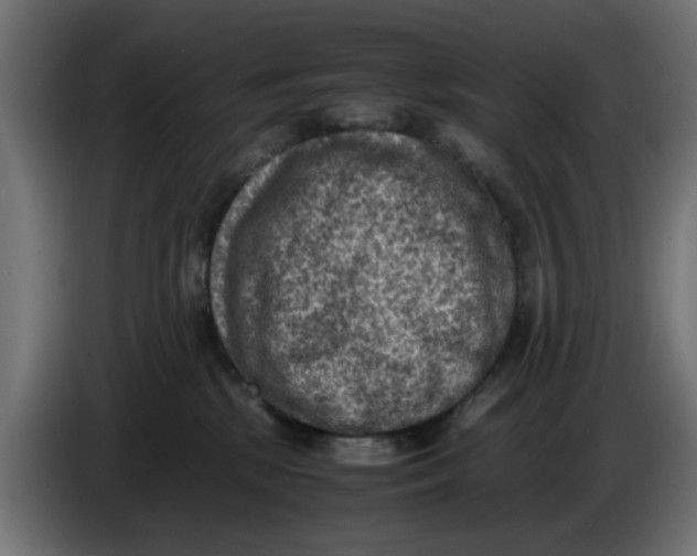 X0000086030281200704131919