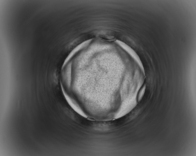 X0000086030282200704131919