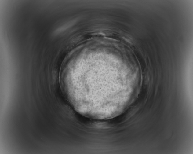 X0000086030283200704131919