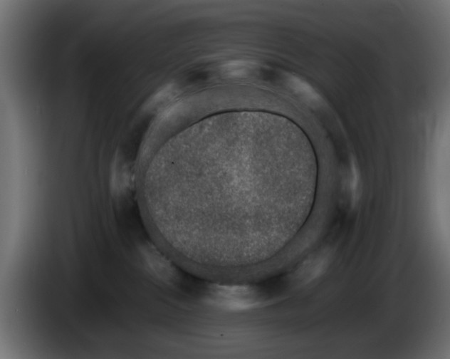 X0000086030284200704131919