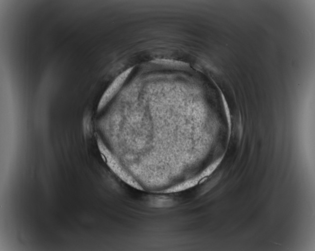 X0000086030287200704131919