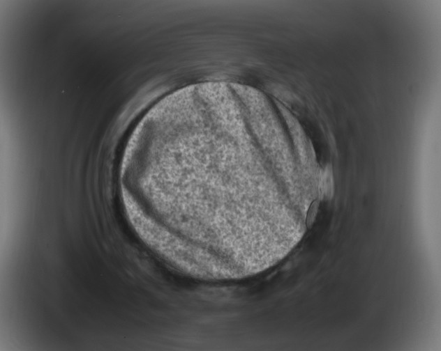 X0000086030291200704131918