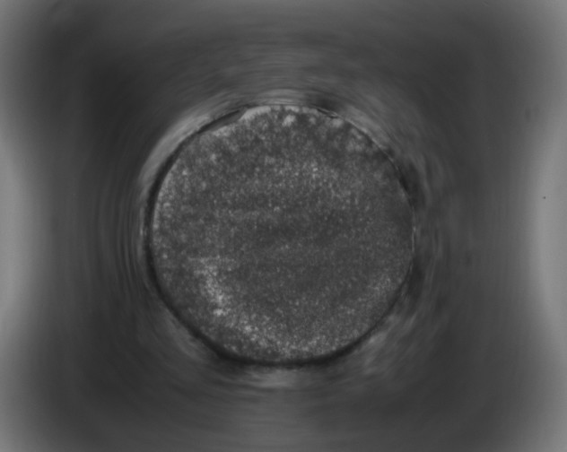 X0000086030293200704131918