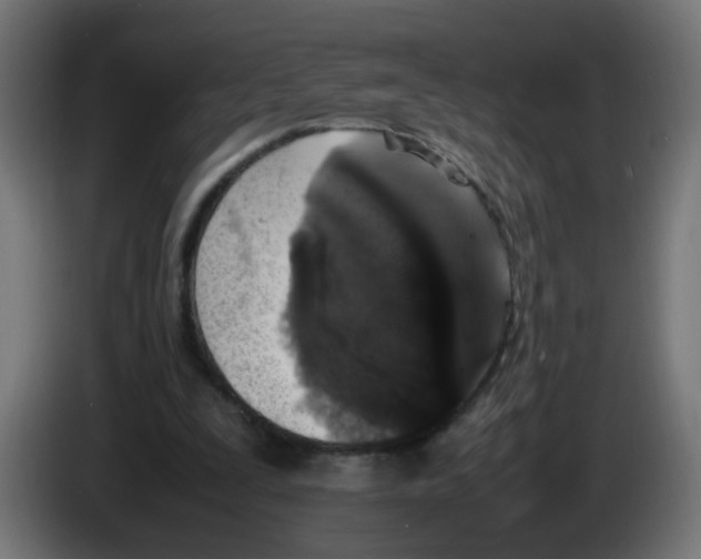 X0000086030295200704131918