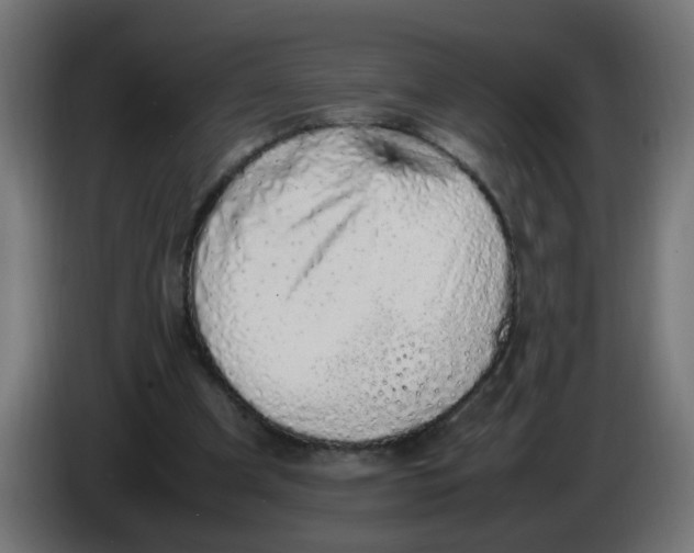 X0000086030297200704131918