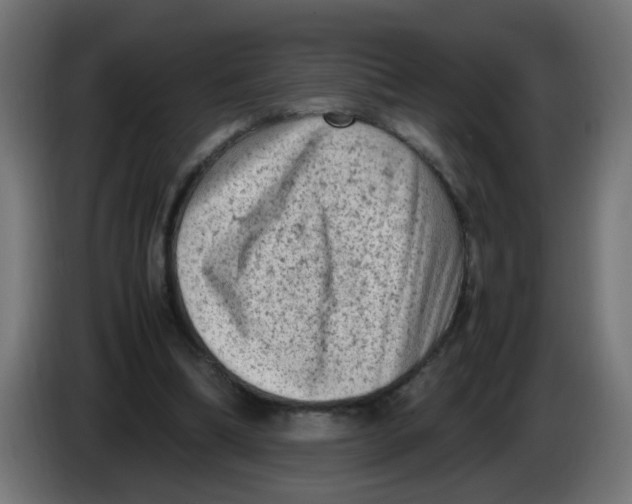 X0000086030298200704131918