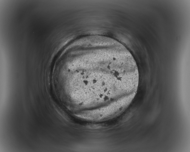 X0000086030299200704131918