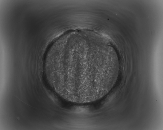 X0000086030303200704131918