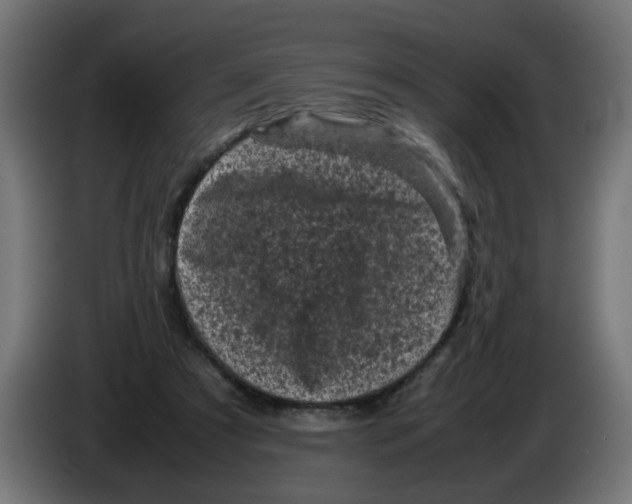 X0000086030305200704131918